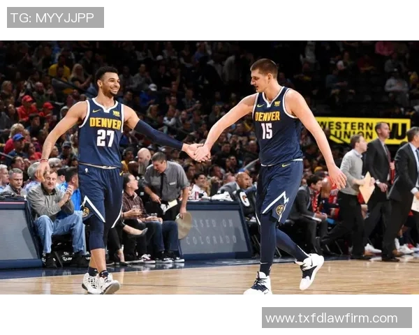 从塞尔维亚到NBA尼古拉约基奇的传奇成长之路与背后故事