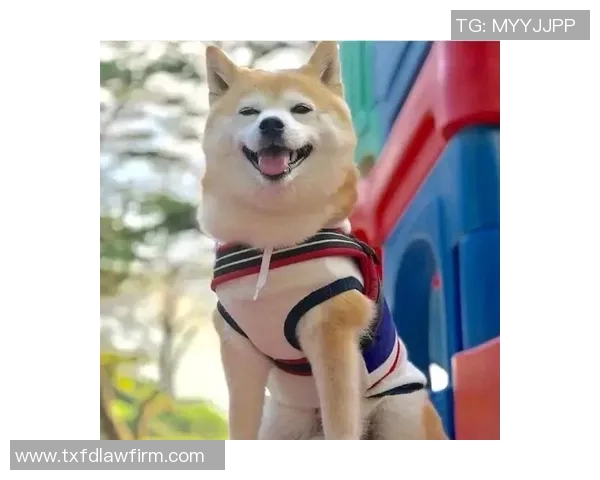 足球明星幽默段子大揭秘让你笑翻天的精彩瞬间分享